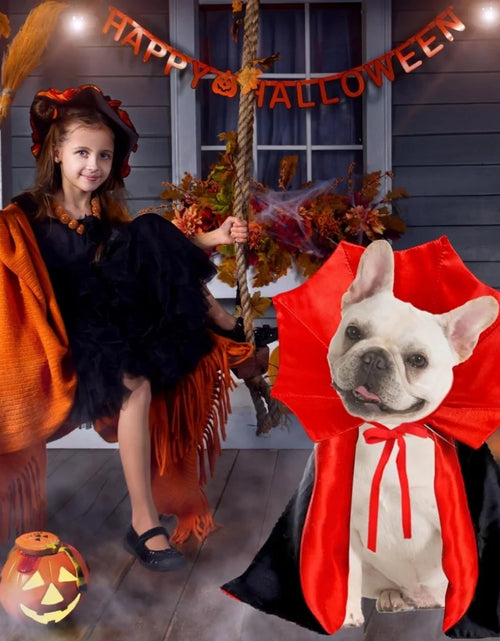 Load image into Gallery viewer, Medium Dog Halloween Costumes, Halloween Dog Vampire Cloak Costume Dog Devil Costume Pet Halloween Costume
