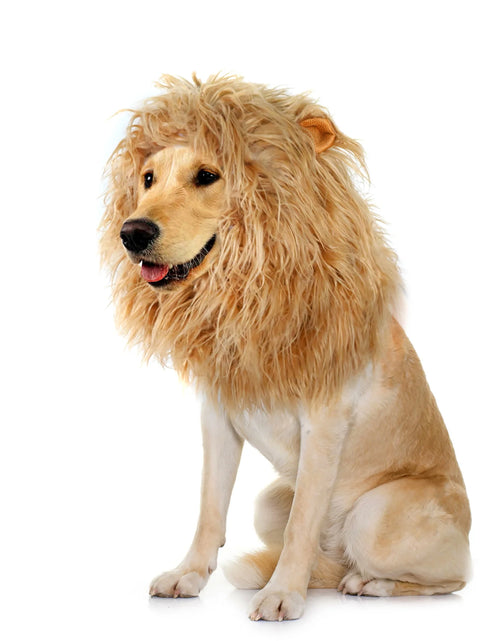 Load image into Gallery viewer, Lion Mane Wig for Dogs, Funny Pet Cat Costumes for Halloween Christmas, Furry Dog Clothing Accessories (Size L, Coffee)
